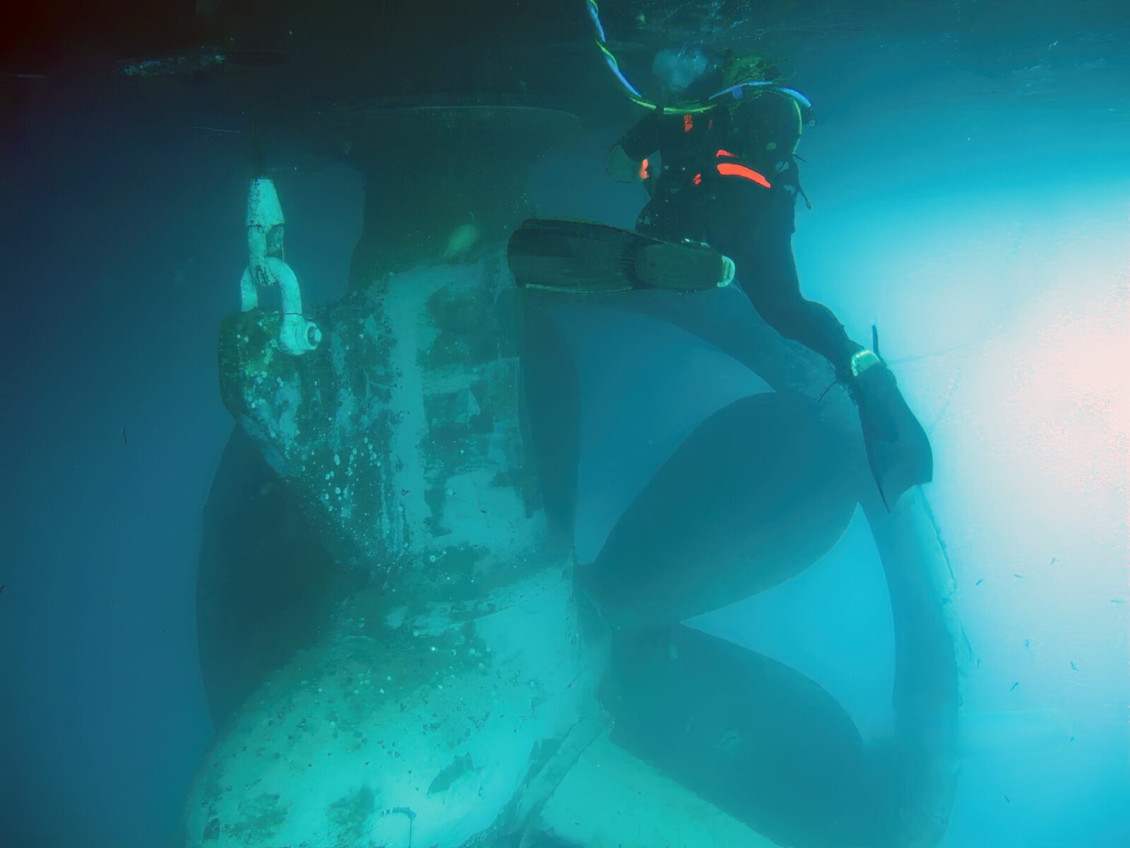 Azimuth Thruster Debris Removal